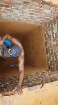 The Parkour Cat in cat gifs
