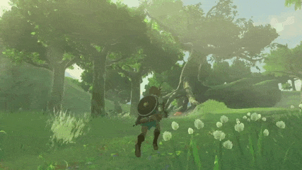 Legend Zelda GIF - Find & Share on GIPHY