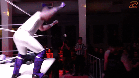 Wrestling Entertainment GIF