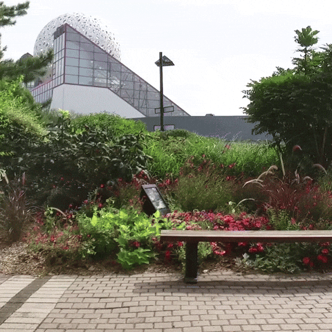 Sport Run GIF