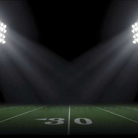 Quicken Loans Football GIF by Rocket Mortgage by Quicken Loans