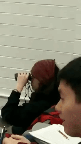 Ordinary student in funny gifs