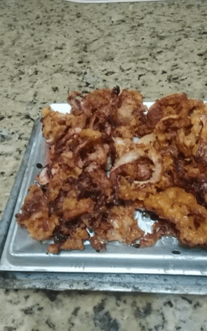 giphy.gif