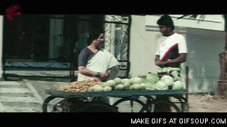 cabbage animated GIF