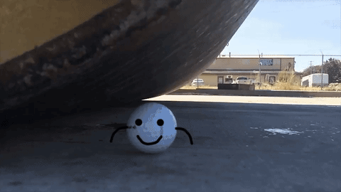 giphy.gif