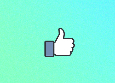 Facebook GIF - Find & Share on GIPHY