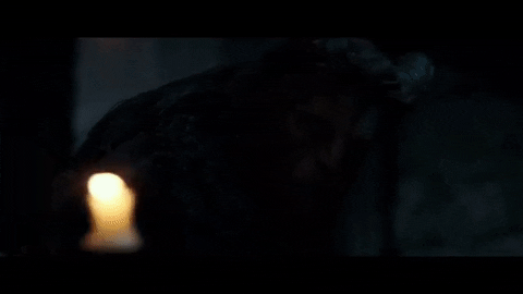 https://media.giphy.com/media/4MQGVQq7Pabm/giphy.gif