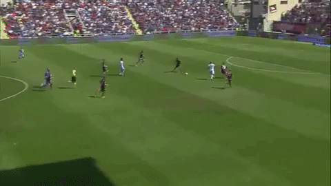 Caicedo GIF - Find & Share on GIPHY