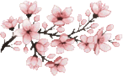 Flowers GIFs - Get the best GIF on GIPHY