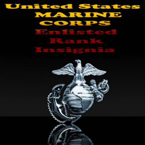 Marine GIF Find & Share on GIPHY