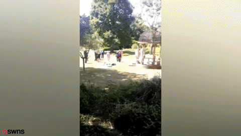 Молодожены были в шоке, что загорающая девушка отказалась уйти с места их фотосессии загорала во время свадебной фотосессии, девушка загорала свадебная фотосессия