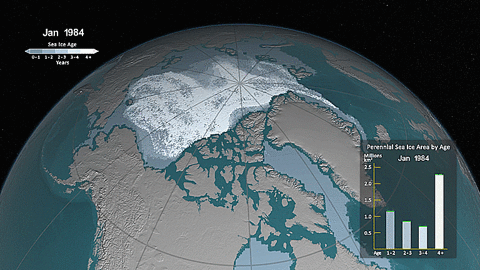 Sea Ice GIF - Find & Share on GIPHY