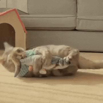 Brinquedo Peixe Elétrico Recarregável para Gatos que se Mexe