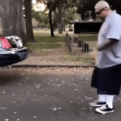 giphy.gif