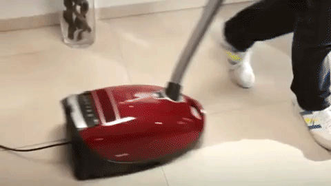 giphy.gif