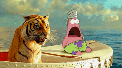 The Life Of Pi GIF - Find & Share on GIPHY