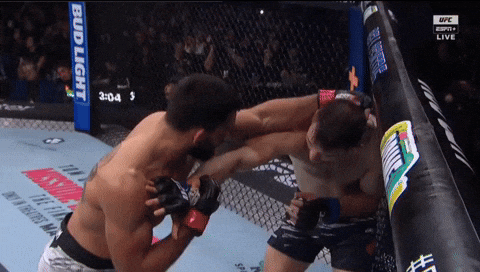 giphy.gif