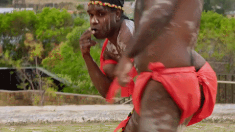 Black Comedy GIF by ABC Indigenous