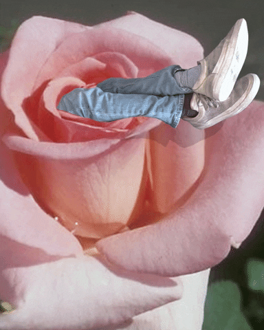 Hanging Out Love Art GIF by kingpalewave
