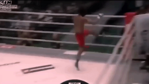 giphy.gif