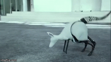 new robot jumping why kangaroo