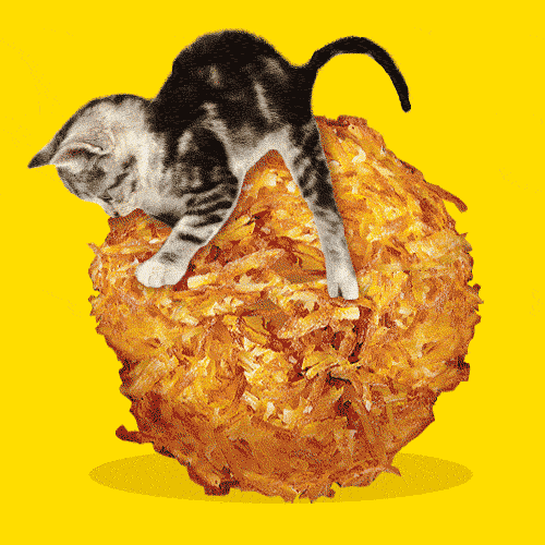 Dennys Things Denny S Gif Wifflegif vrogue.co