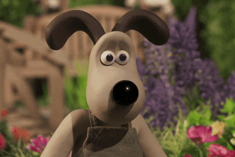 그로밋 GIF