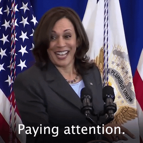 Well Done Reaction GIF By The Democrats

https://media.giphy.com/media/4fwLF76dr8UaiVCNER/giphy.gif
