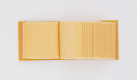 Book of 20 Slices of Cheese by Ben Denzer