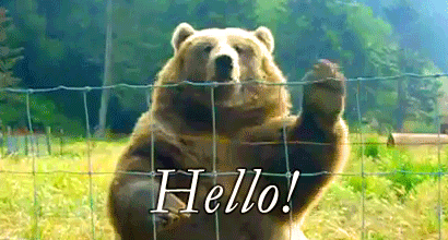 Hello！ Hello! Hello! Hello！ meme reference