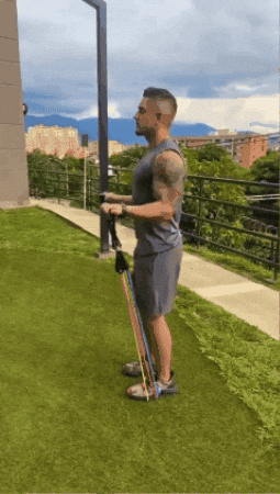 bandas de resistencia gif