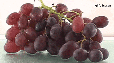 Image result for grapes to raisins gif