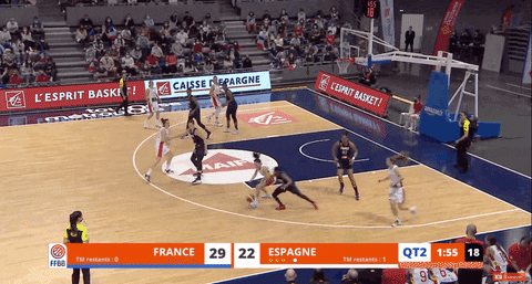 France Ffbb GIF by Basketfem