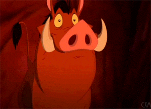 Pumbaa jaw dropping GIFs - Get the best GIF on GIPHY