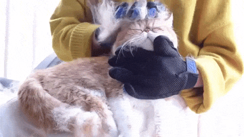 Luva Cleaning – Aumor Pet