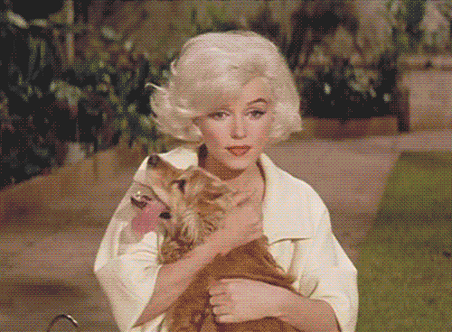Marilyn Monroe Smile GIF - Find & Share on GIPHY