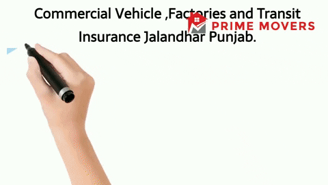 99% Discounted Insurance Services Jalandhar