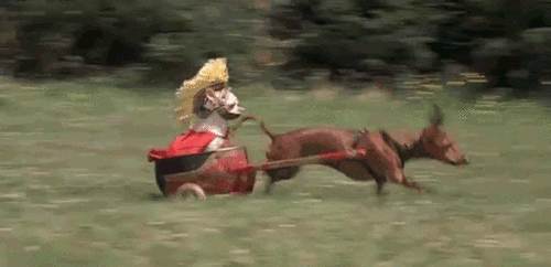 Chariot GIFs - Find & Share on GIPHY