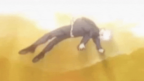 GIF