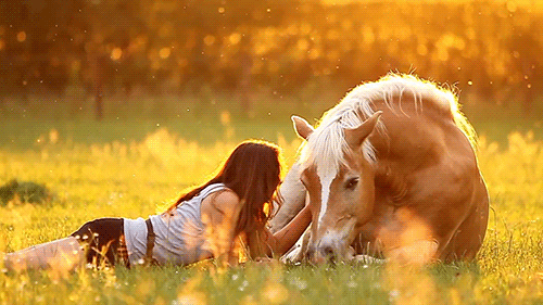 Girl And Horse GIFs - Find & Share on GIPHY