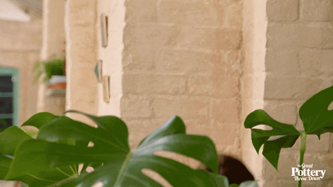 mulher escondida atrás de uma planta usando binóculos para espionar alguém