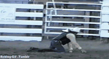 https://media.giphy.com/media/4xftMwLF7X5Qs/giphy.gif