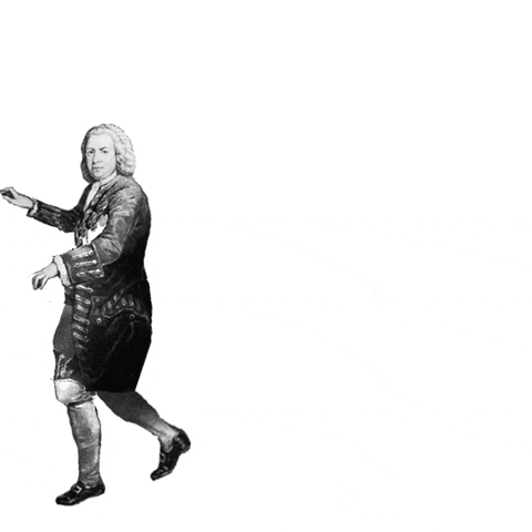 Bach-Flip GIF - Find & Share on GIPHY