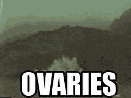 Image result for ovaries explode gif