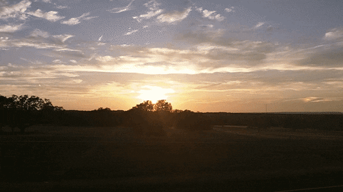 giphy.gif