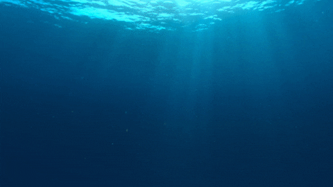 Ocean Wtf GIF by Woodblock - Find & Share on GIPHY