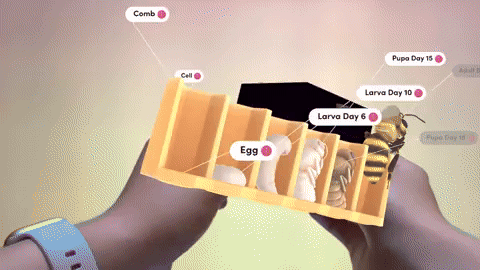 Interactive educational content used with Merge Cube