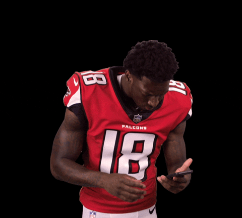 Image result for calvin ridley gif