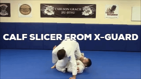 Calf Slicer from X-Guard