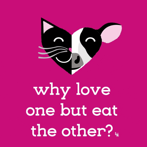 Gif aparecendo rosto de animais formando coração e pergunta em inglês "Why love one but eat the other?"